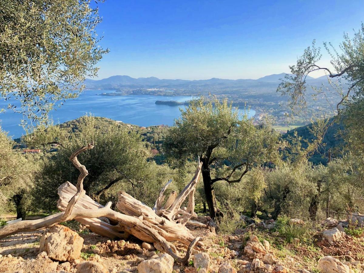 Villa Intaba: Seaside Retreat with Pool on Corfu's Riviera Pyrgi  Exterior photo